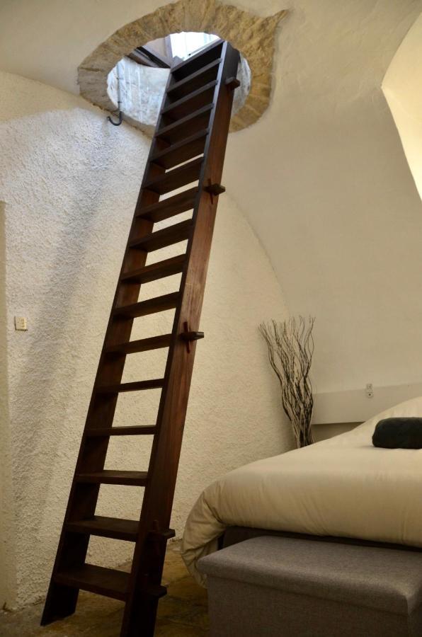 דירות דיז'ון Le Souplex Des Ducs מראה חיצוני תמונה